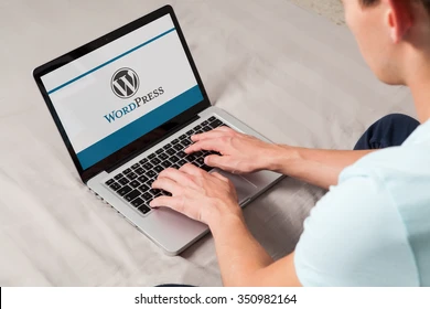 You are currently viewing WordPress Developer